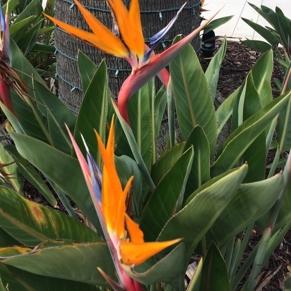 Meet your Posher, Tuomas - Picture 1 of 1